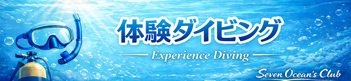 ���� �̌��_�C�r���O